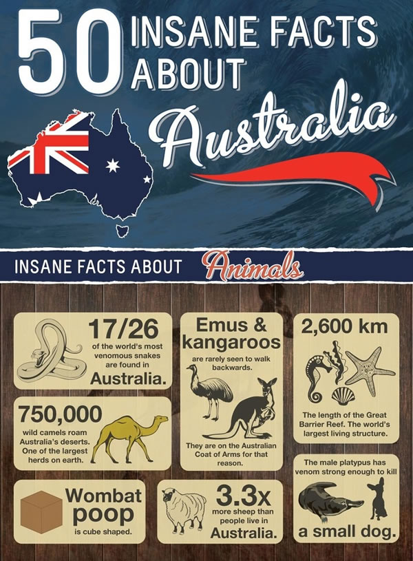 Insane Animal Facts Australia