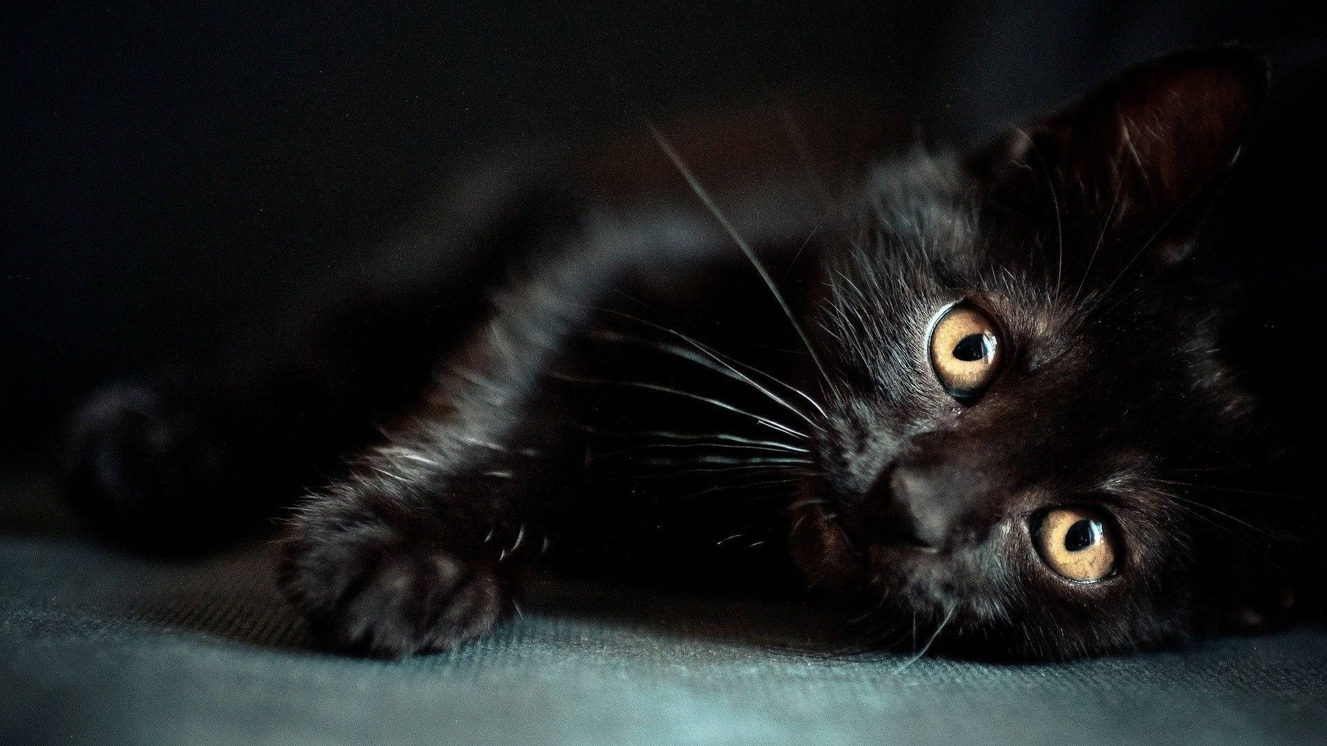 Dark Girly Wallpaper