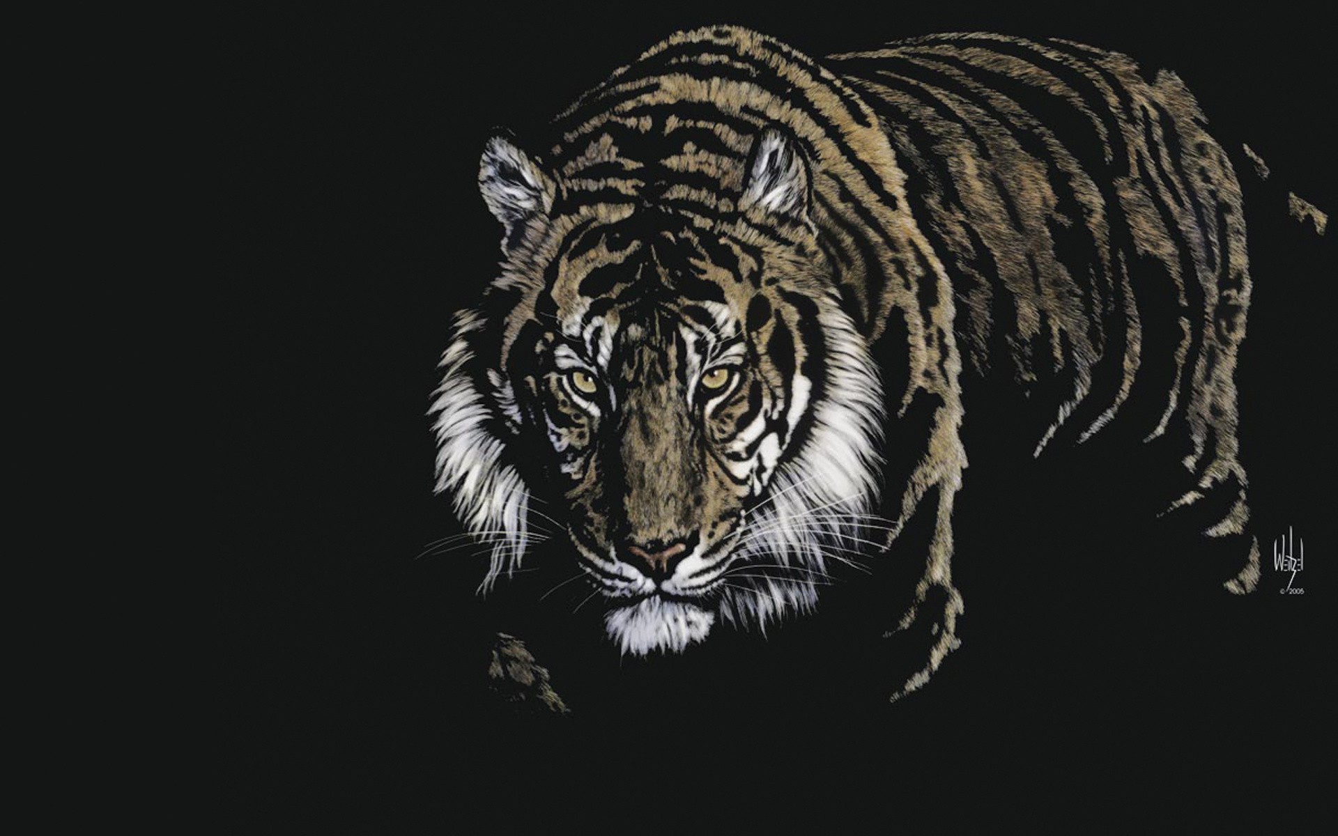 Nice Tiger 3d HD Wallpaper
