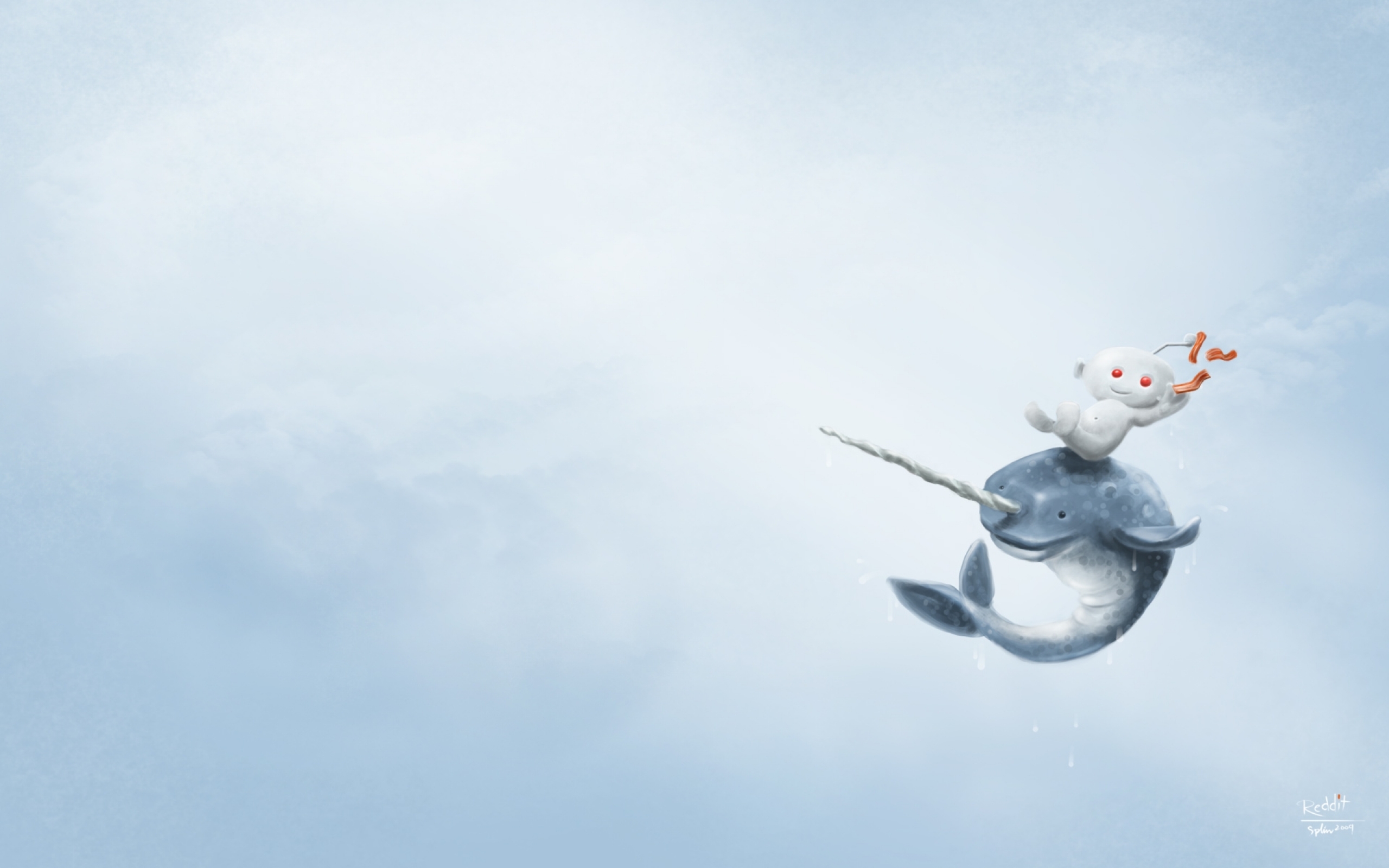 Narwhal Wallpaper Miscellaneous HD Hi Res