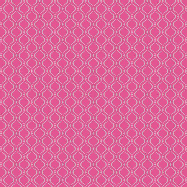 District17 Watermelon Pink Glitter Trellis Wallpaper Wallpaper 650x650