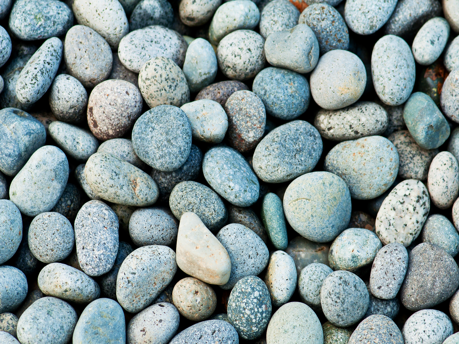 Blue Gray Beach Stones Wallpaper