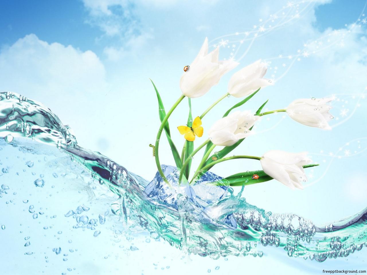 Water Background For Powerpoint Wallpaper
