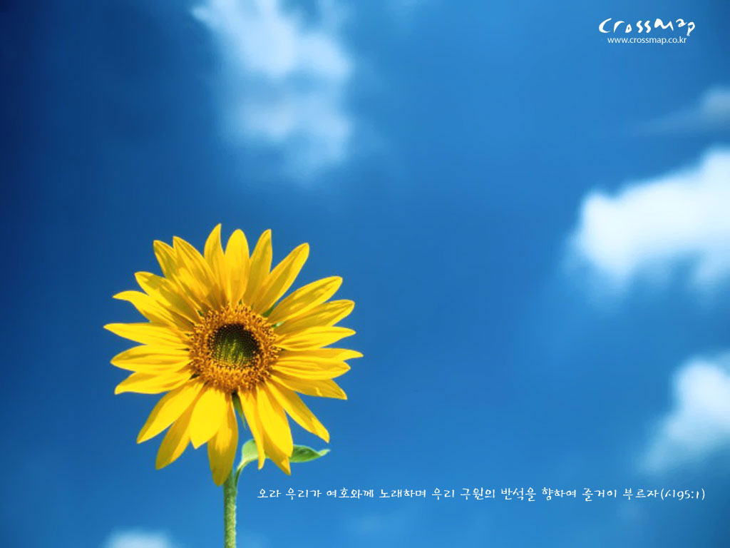 Netchristian Wallpaper With Bible Verses No Desktop