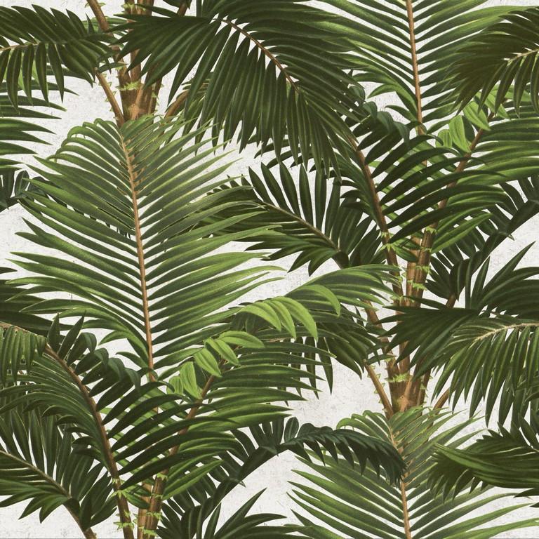 W29v3q8 Palm Leaves Wallpaper Picserio