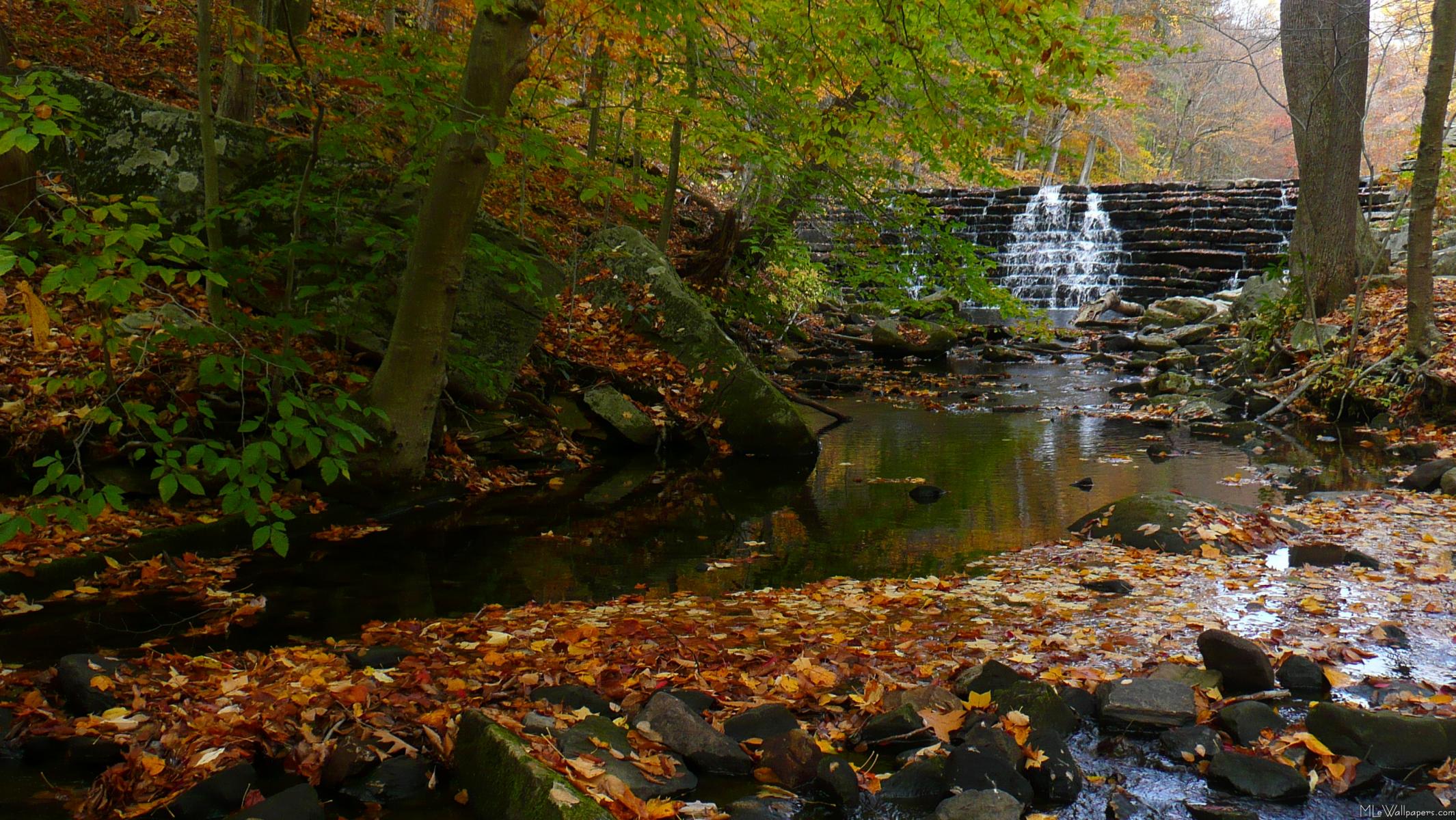 Mlewallpaper Fall Waterfall And Creek