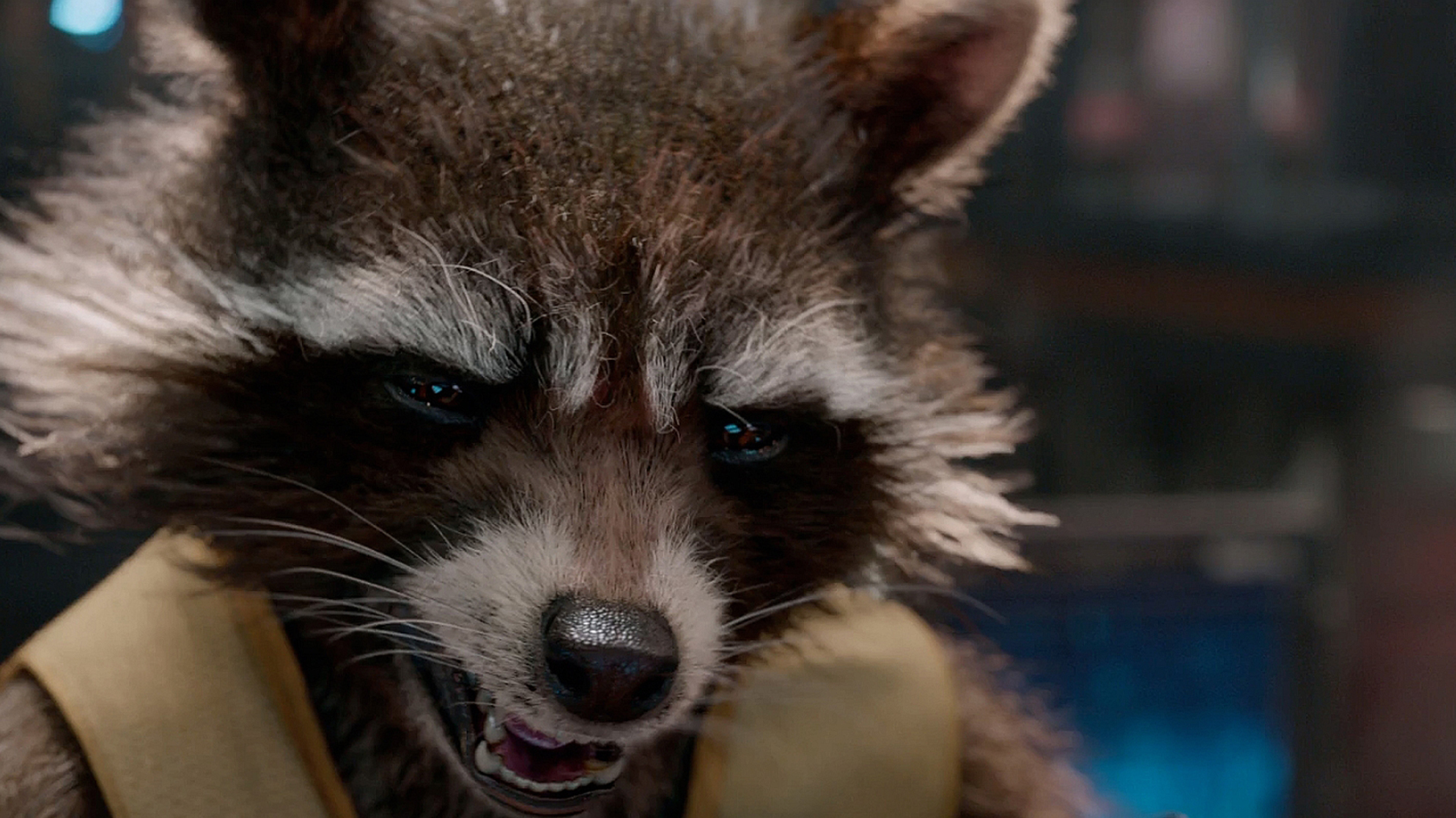 Rocket Raccoon Bradley Cooper Voice Guardians Of The Galaxy HD