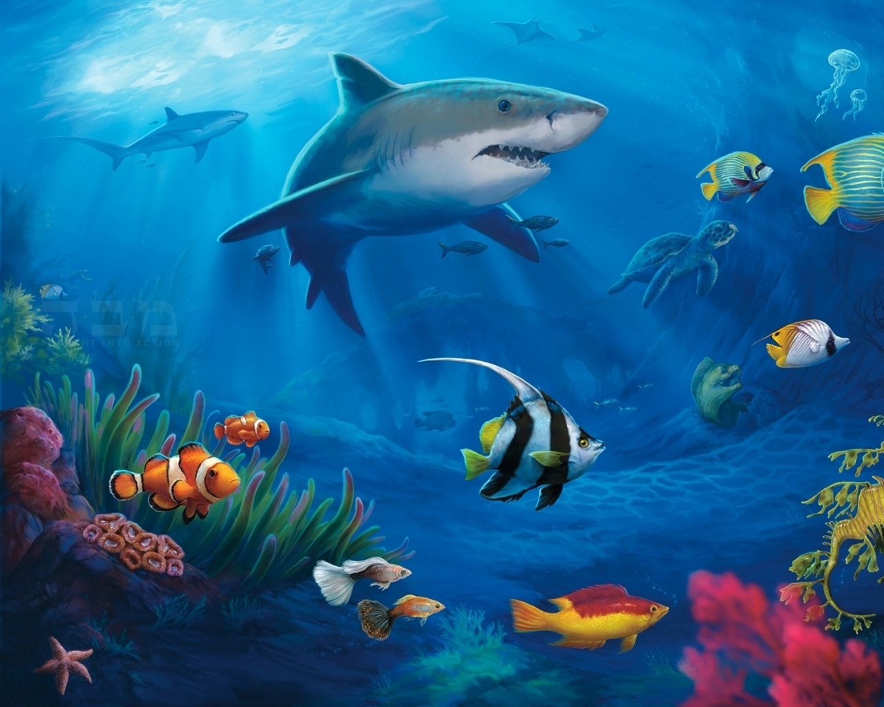Ocean Animals Underwater
