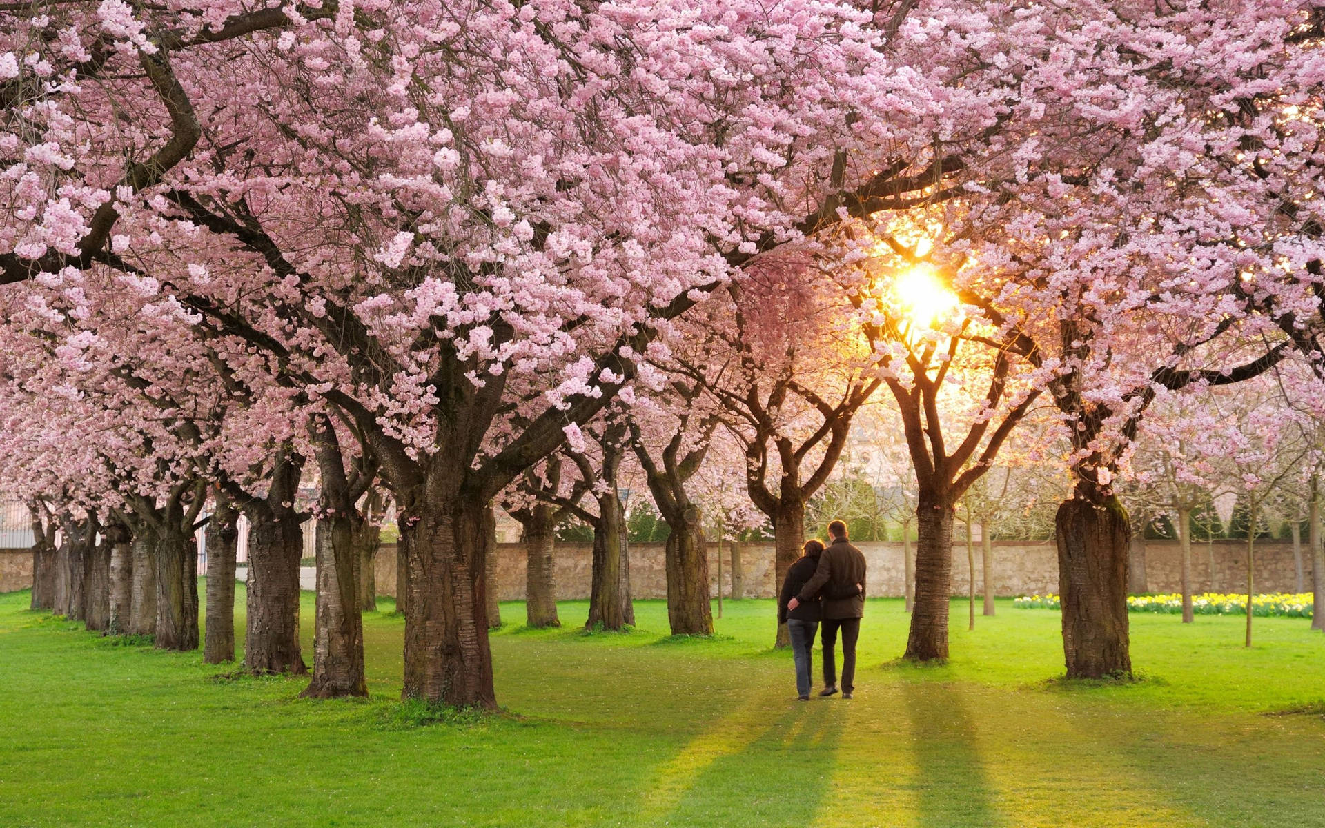Most Beautiful Spring Wallpaper