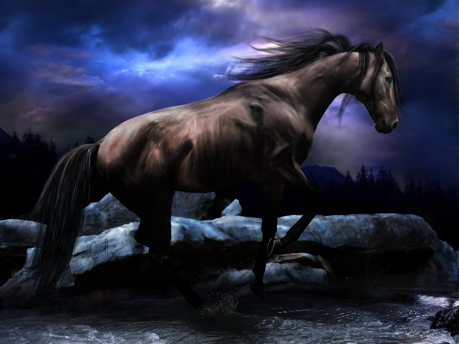 Wallpaper For Gt Cool Background Of Horses