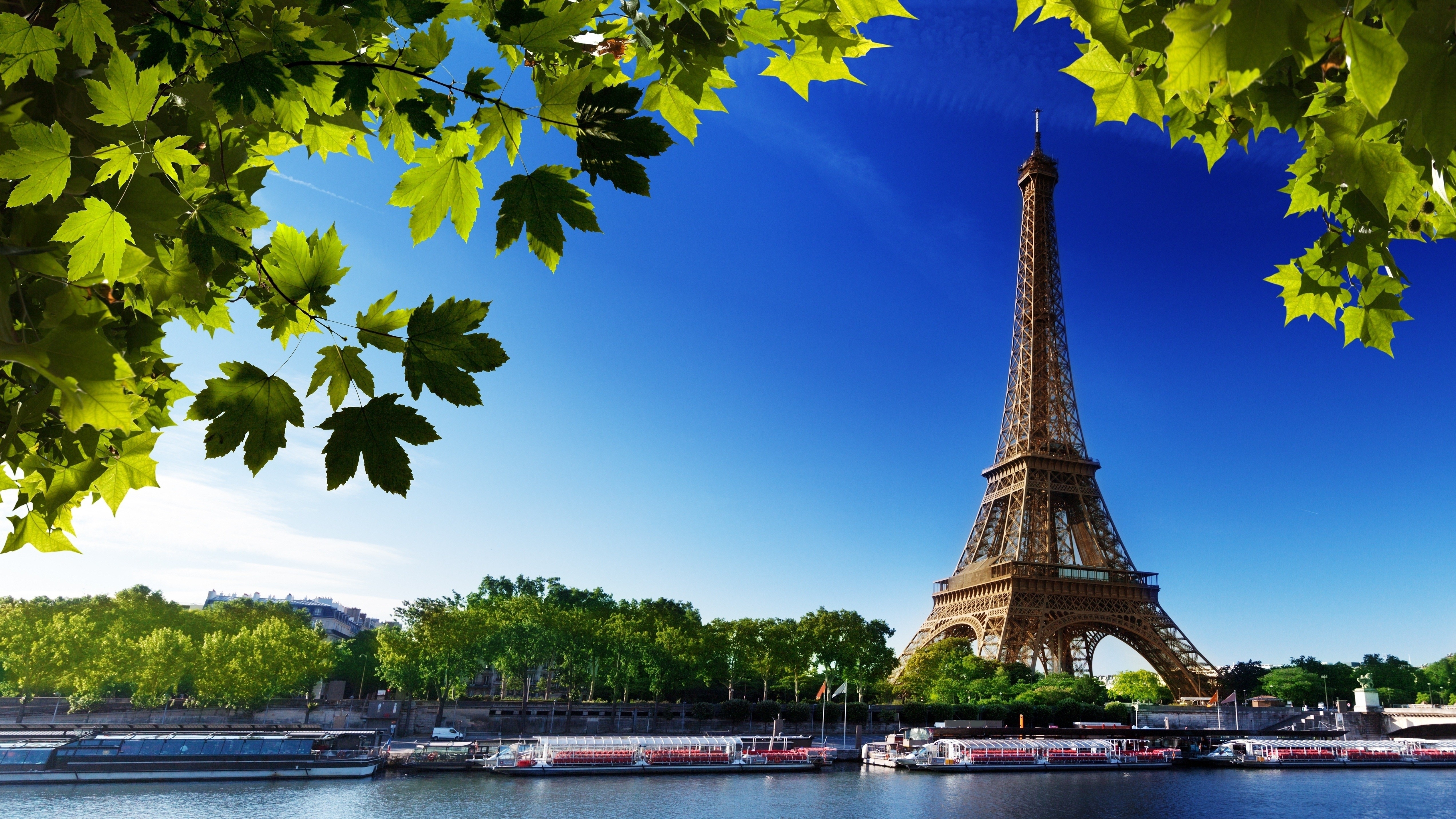 Eiffel Tower Paris Leaves Summer Cities Wallpaper