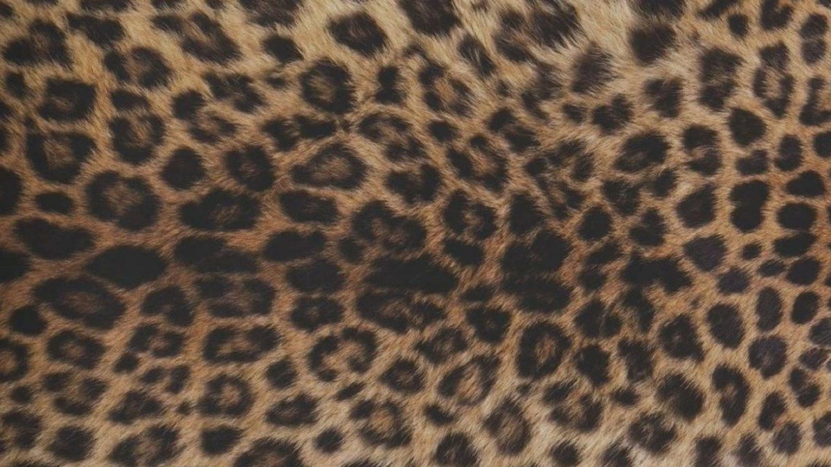 Wallpaper In