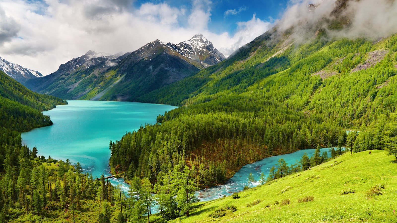 Nature Beauty Wallpaper