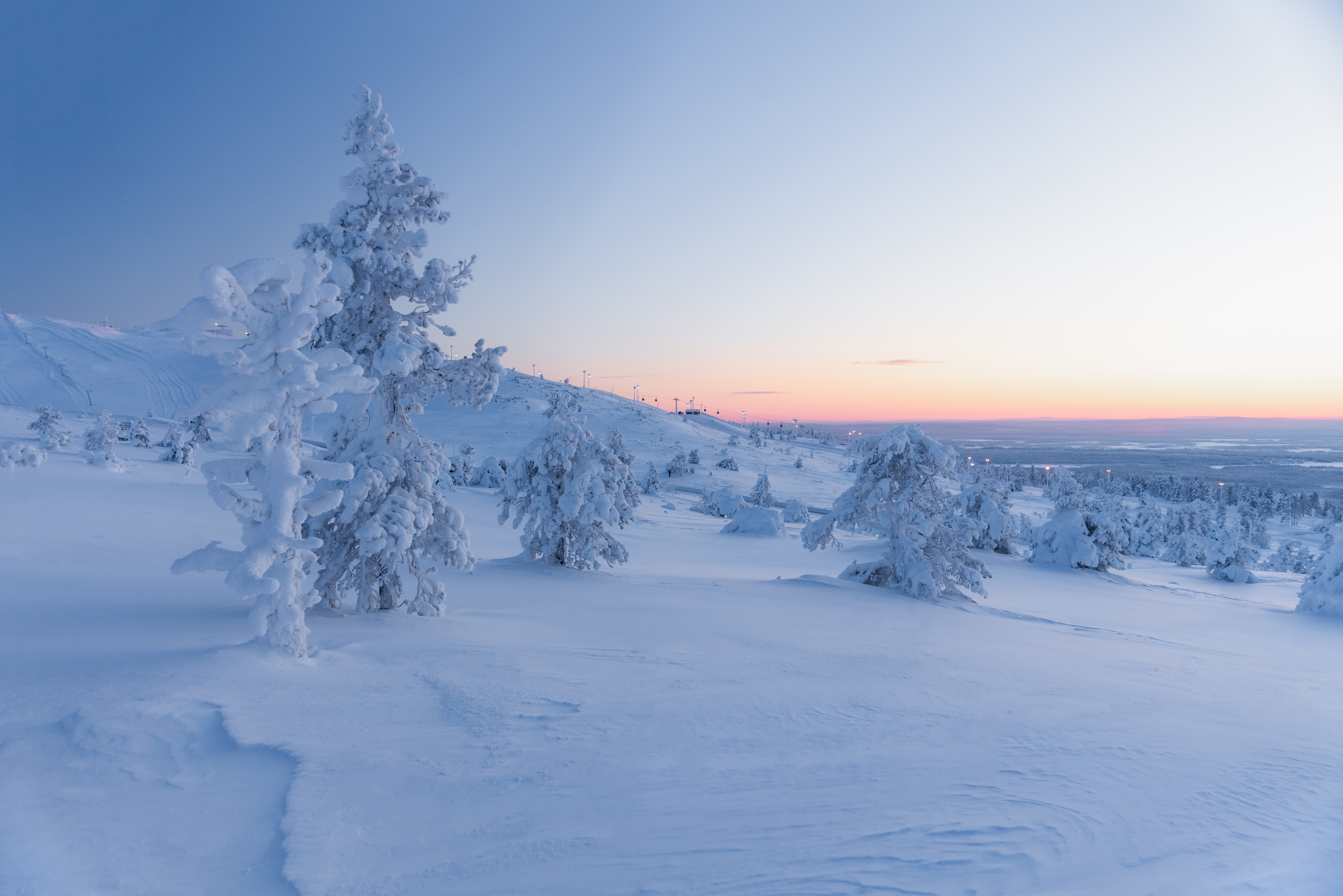 Winter 8k Ultra HD Wallpaper Forest Fir Tree Sky Snow