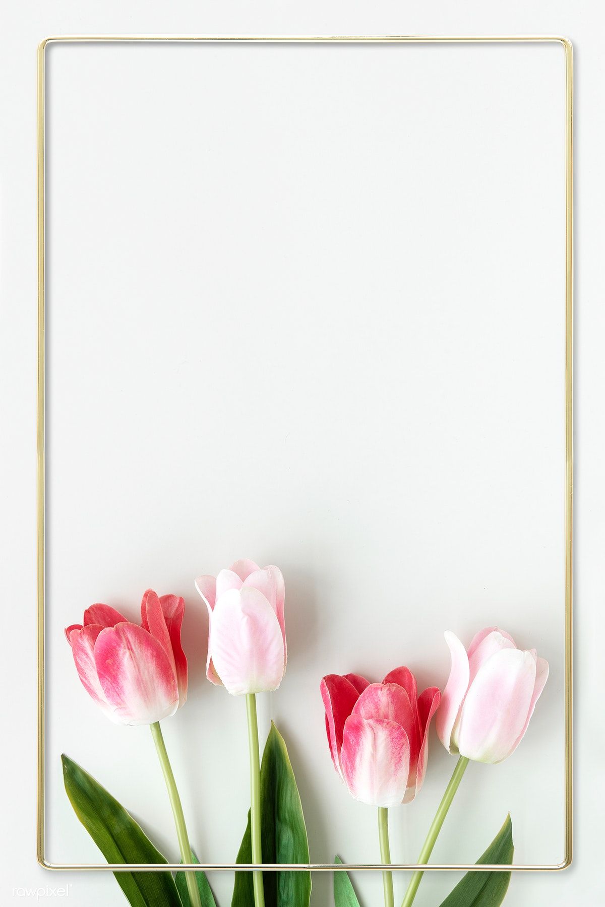 Premium Psd Of Golden Blooming Tulip Frame Design