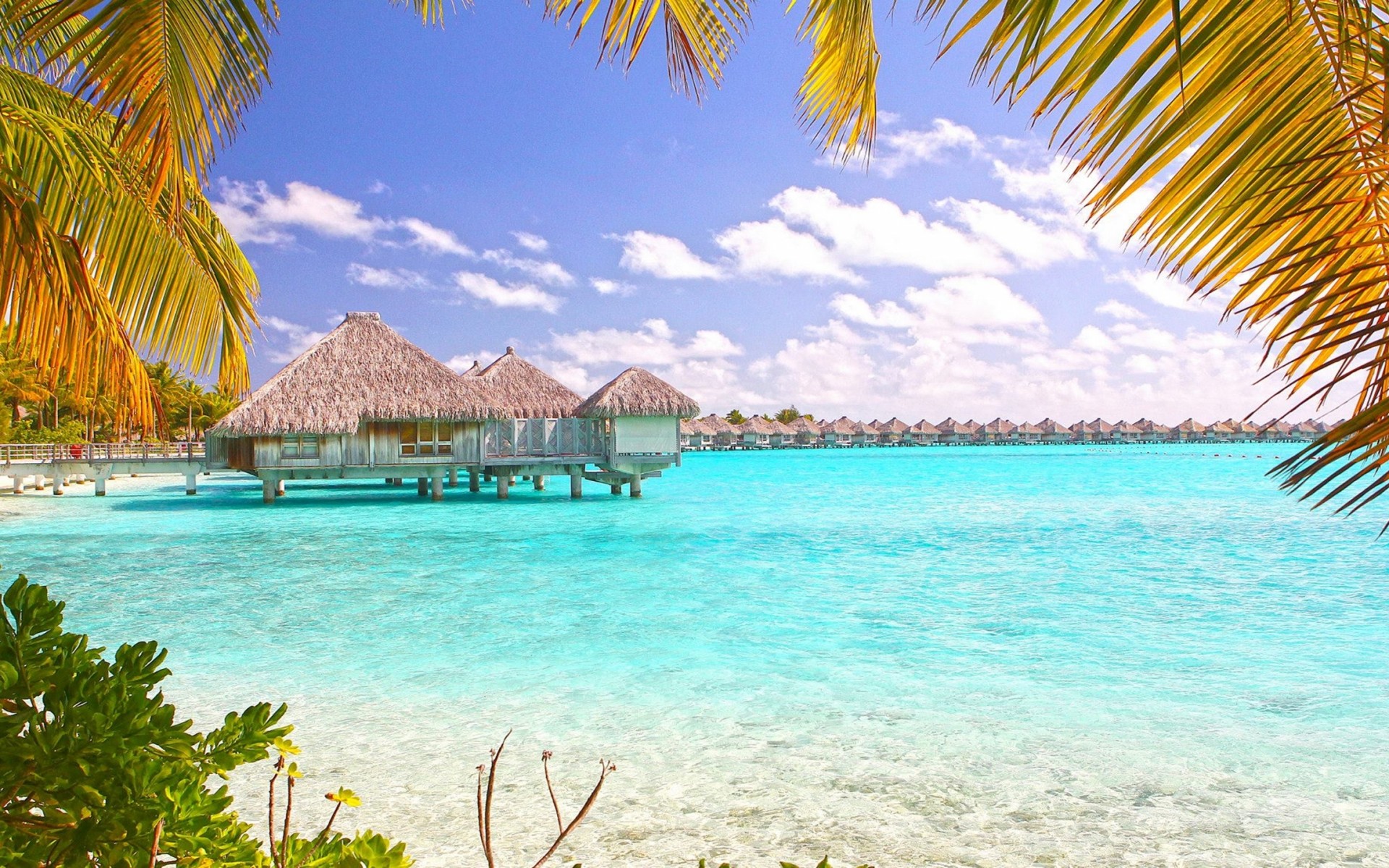 Tropical Beach Bora Polynesia Desktop Wallpaper