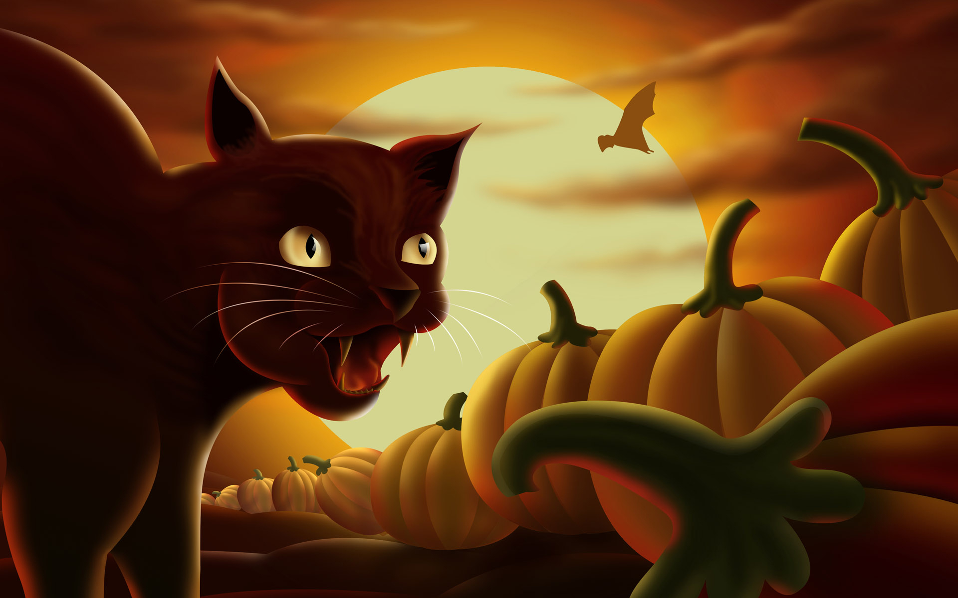 Halloween Cat Wallpaper HD Image Of
