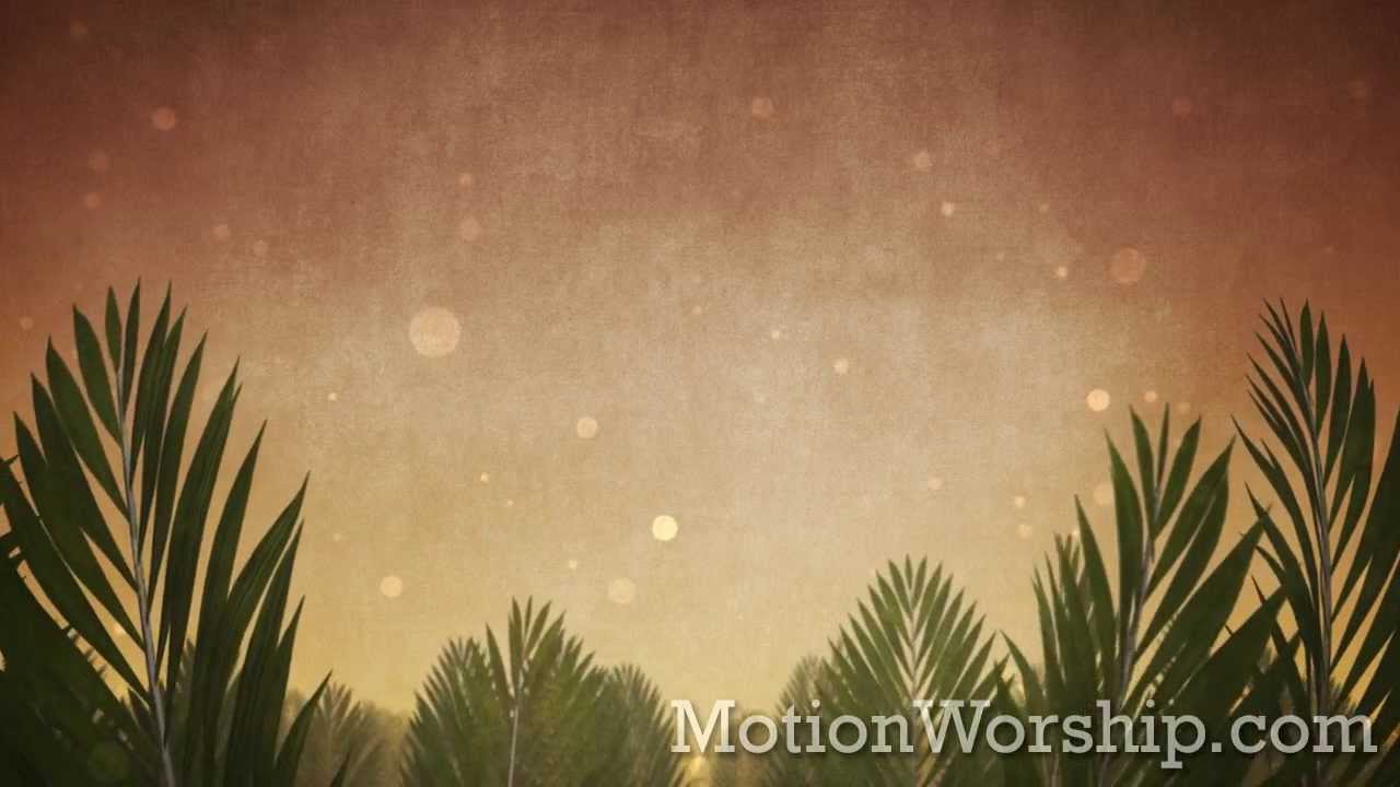 Palm Sunday Epic Branches HD Looping Background By Motion Worship