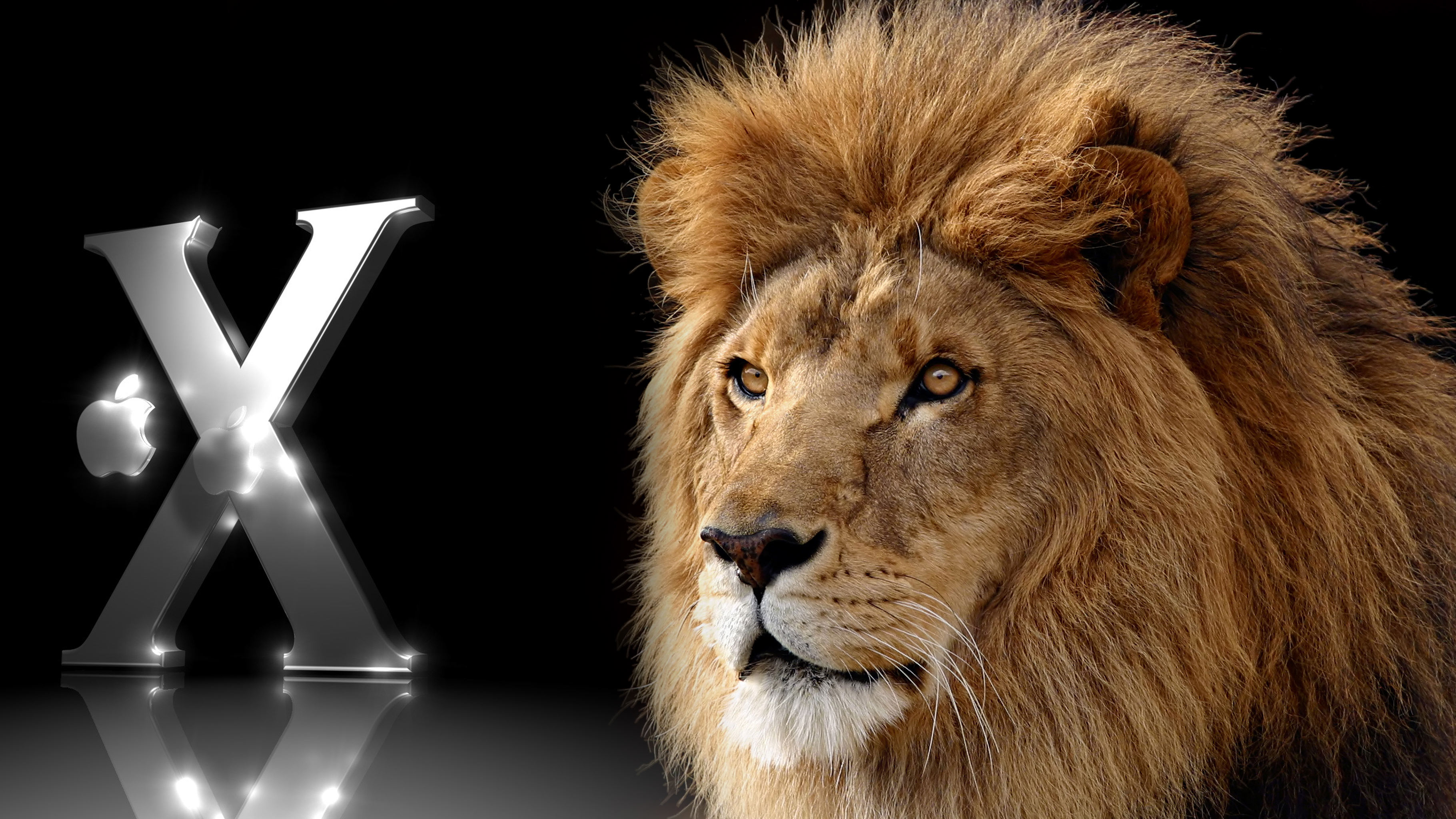 Apple S Lion Release Of Mac Os X Desktop Wallpaper