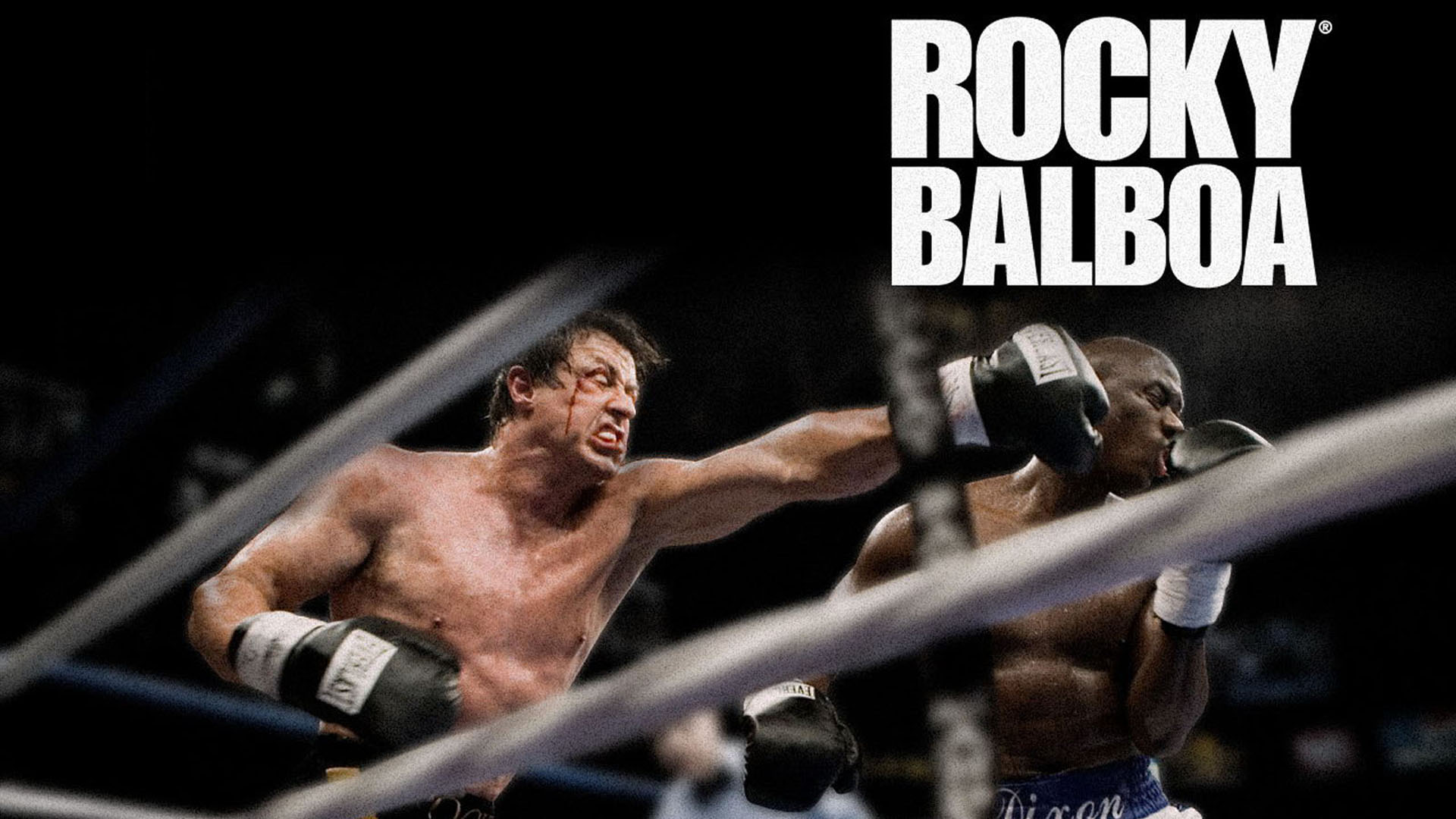 Pics Photos   Rocky Balboa Wallpapers Photo Images Picture