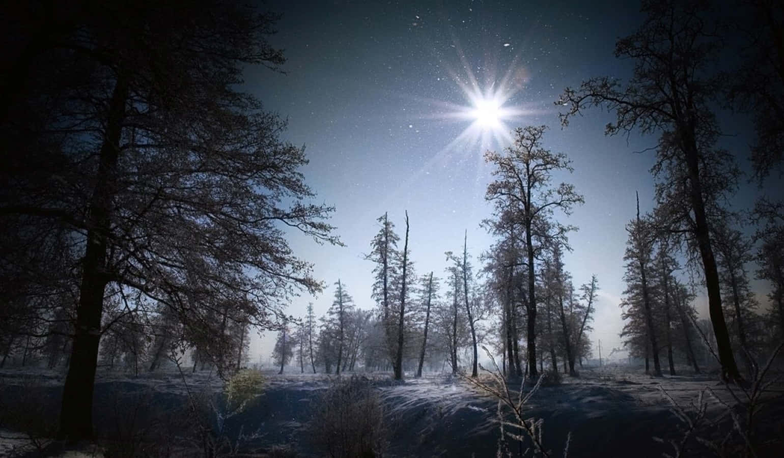 Winter Solstice Wallpaper