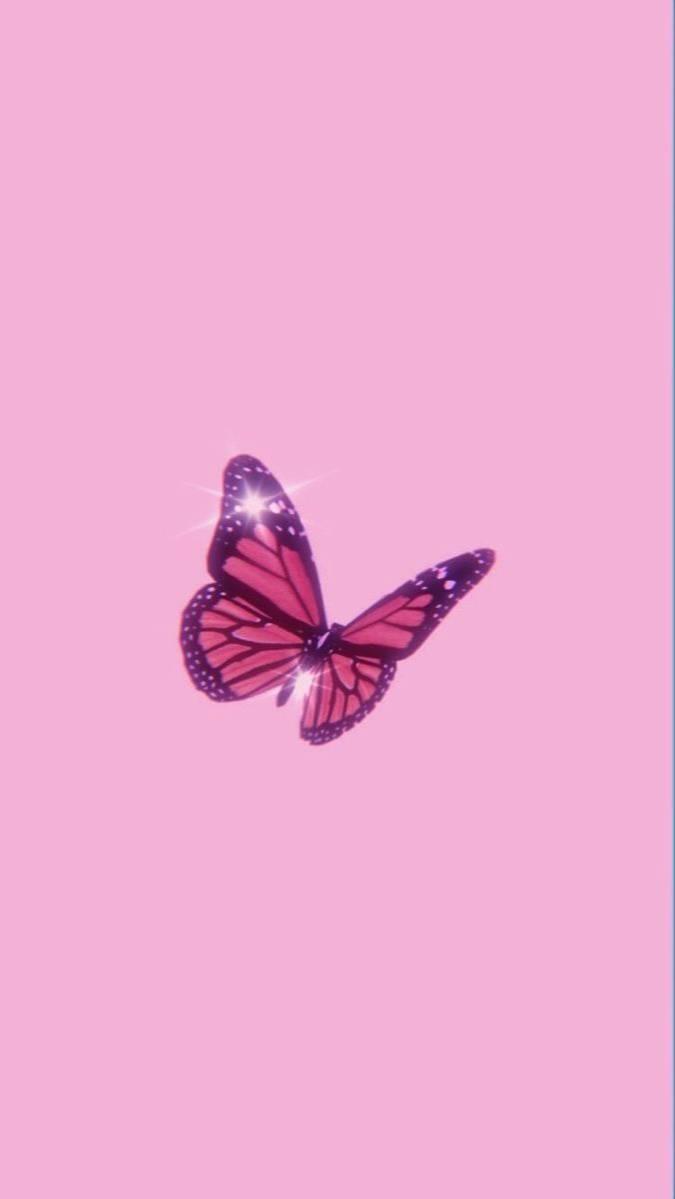 Aesthetic Girly Background Wallpaper