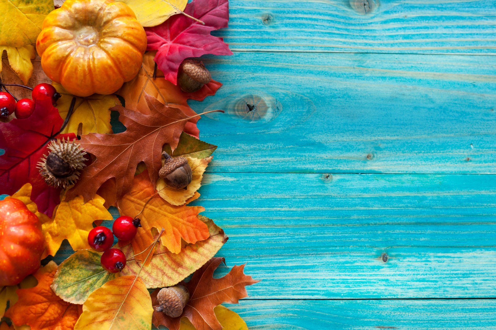 free-download-gallery-for-gt-fall-leaves-and-pumpkins-wallpaper