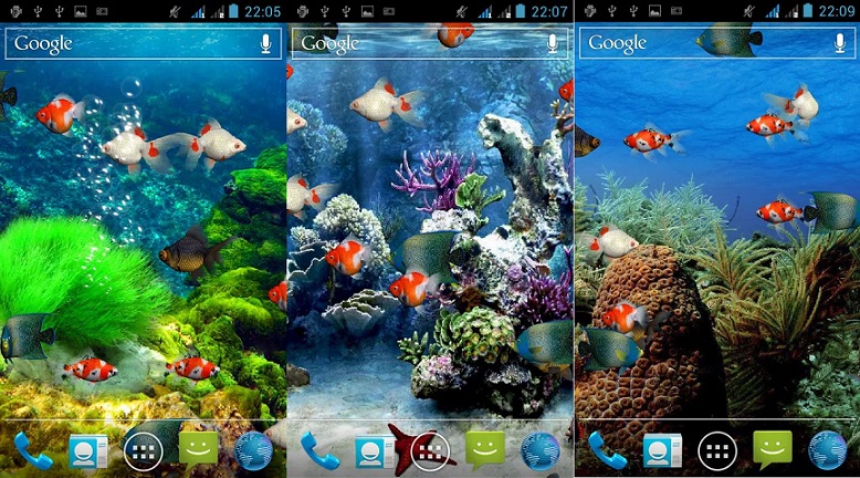46+] Live Aquarium Wallpaper Free Download - WallpaperSafari