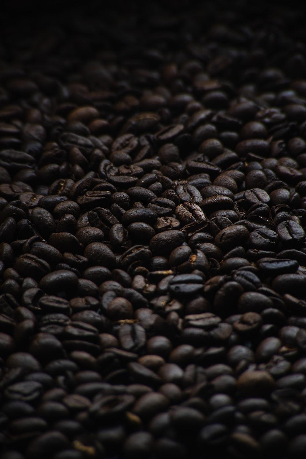 Black Coffee Beans In Close Up Photography Photo Grey Image