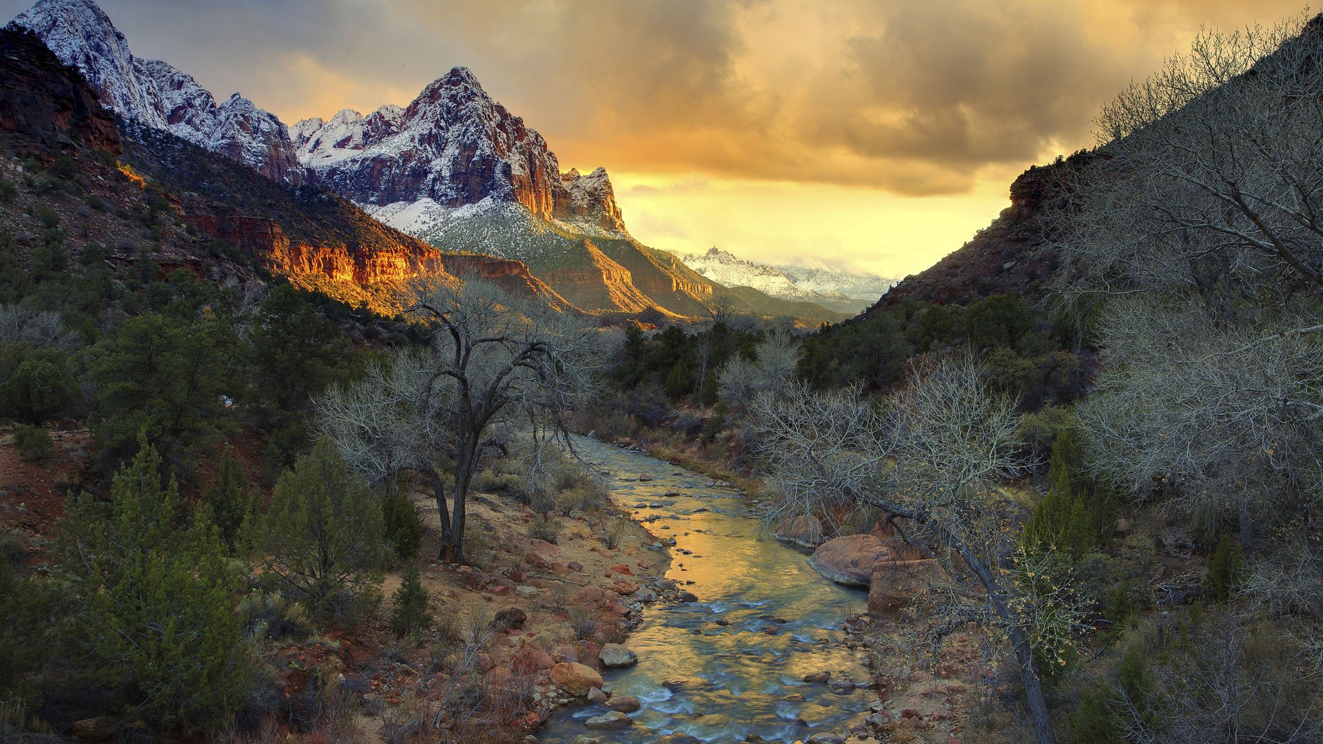 Zion National Park Wallpaper Walldevil Best HD Desktop And