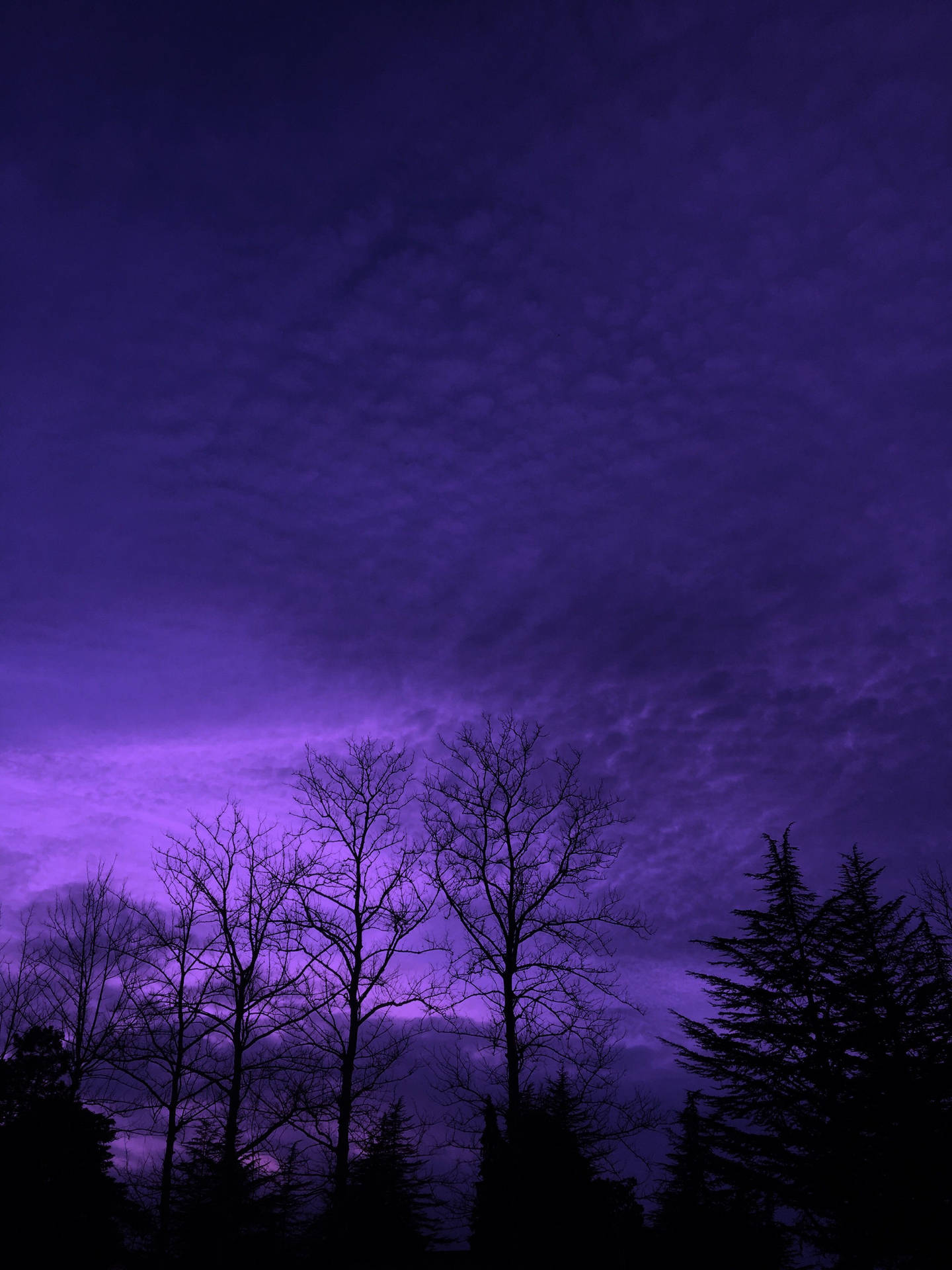 Dark Purple Aesthetic Wallpaper
