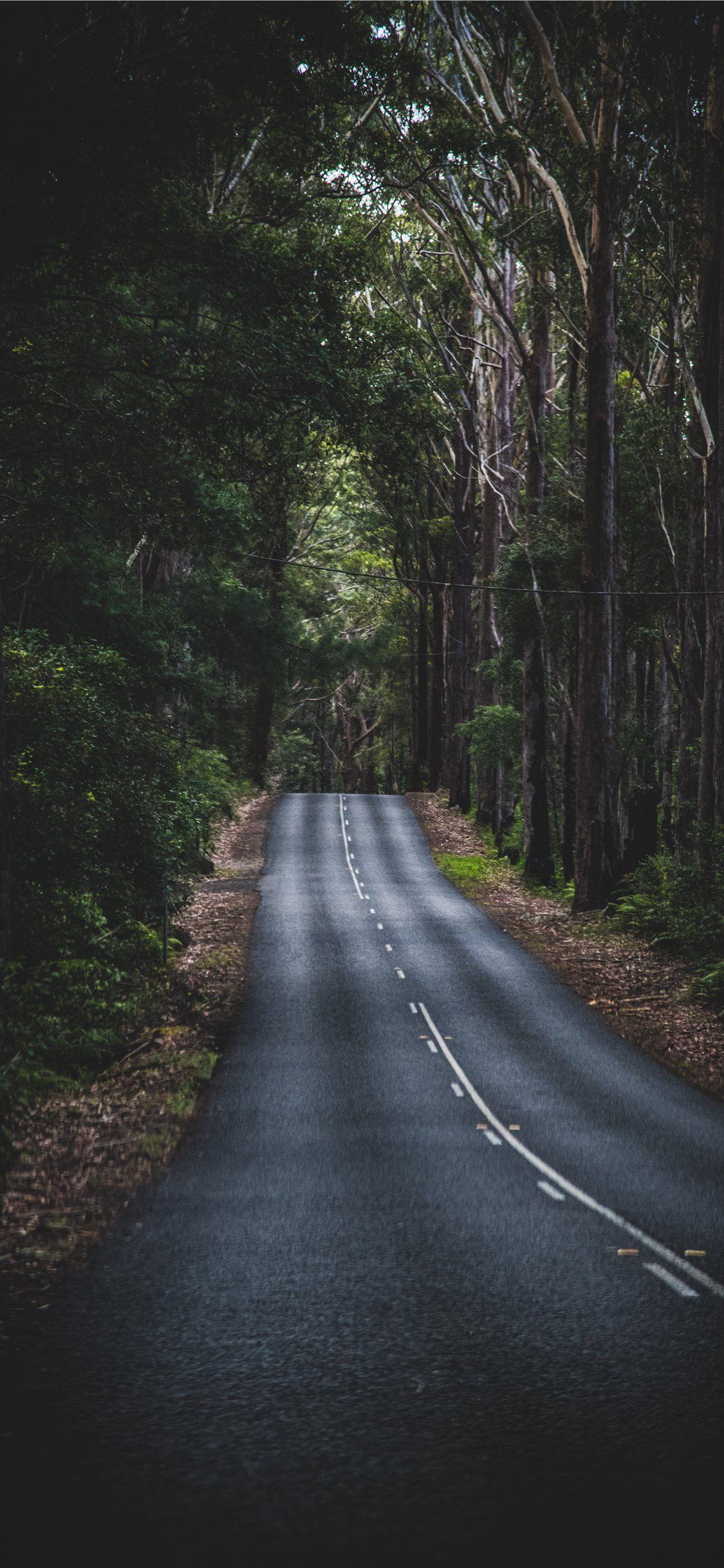 Long HD Wallpaper
