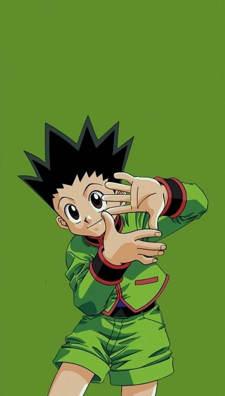 Green Hunter X iPhone Wallpaper