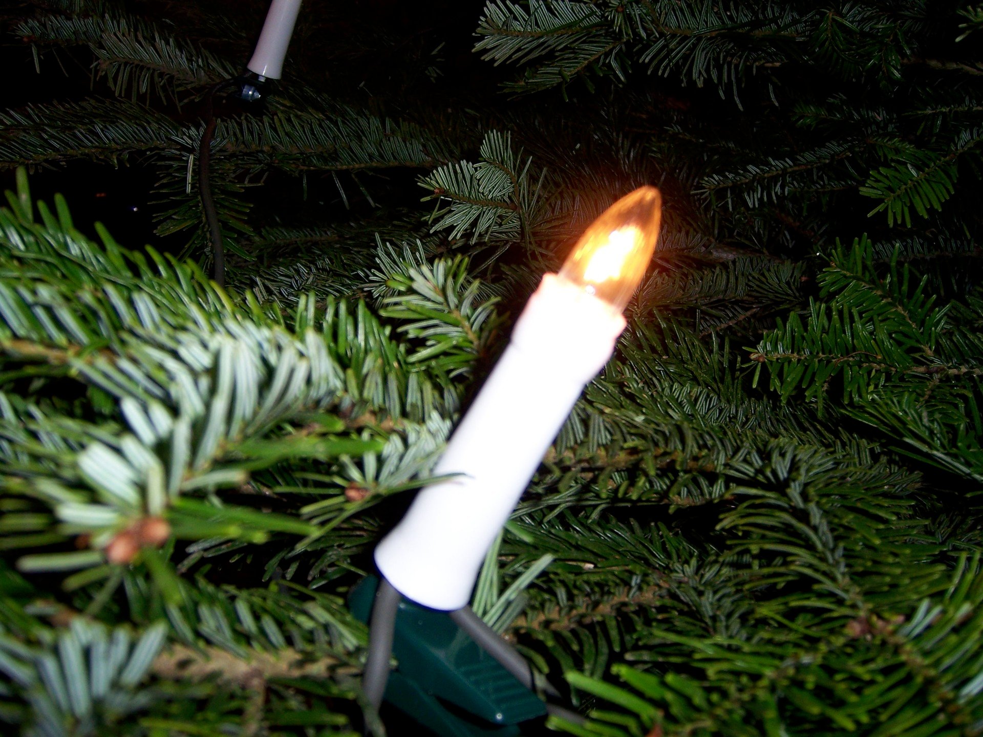 Xmas Tree Candle Lights   Christmas Wallpaper 518962