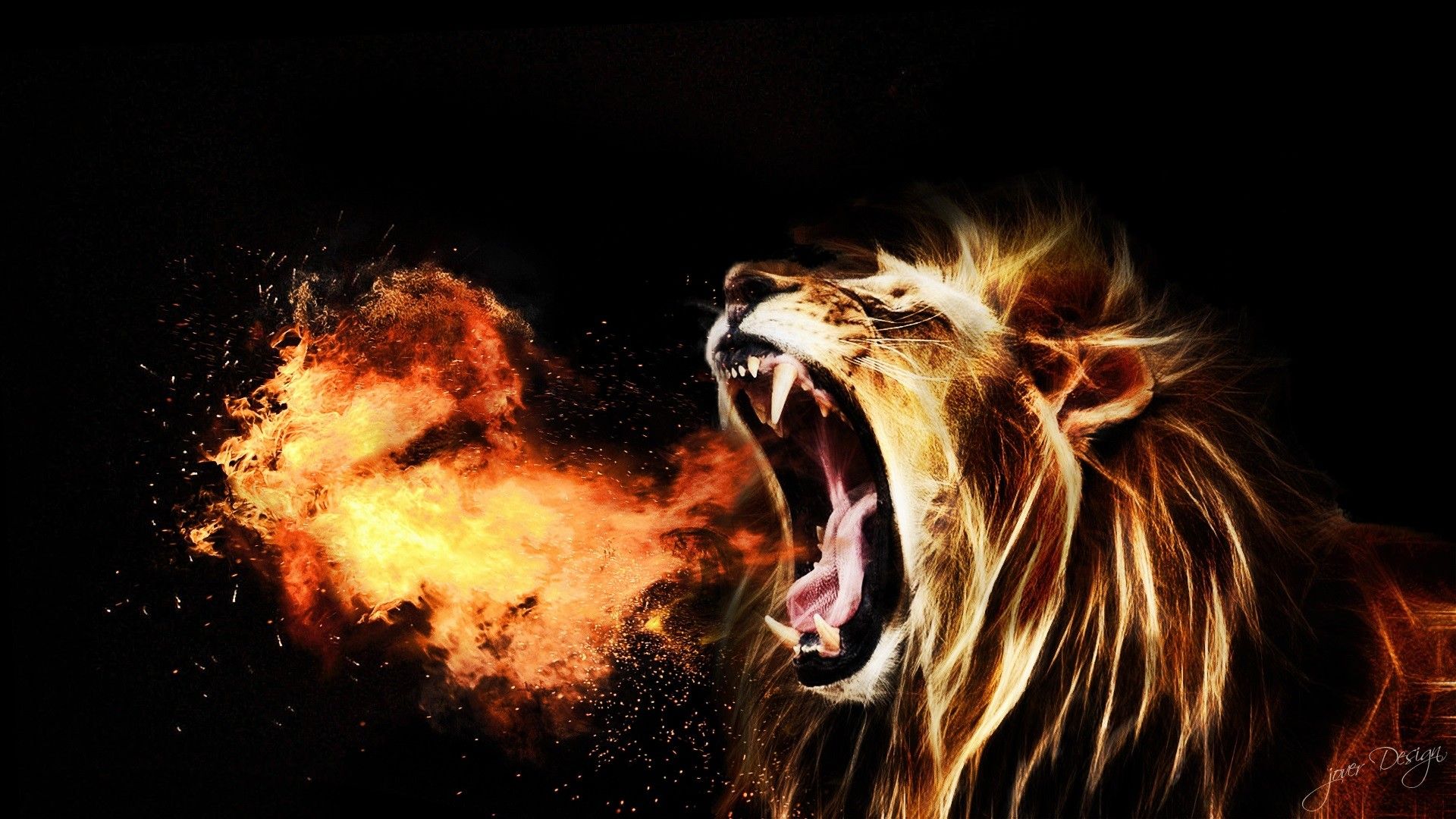 Lion Roar HD Wallpaper