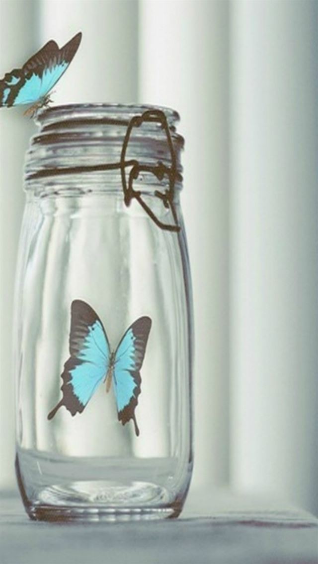 Blue Beautiful Butterfly In Glass Bottle iPhone Wallpaper