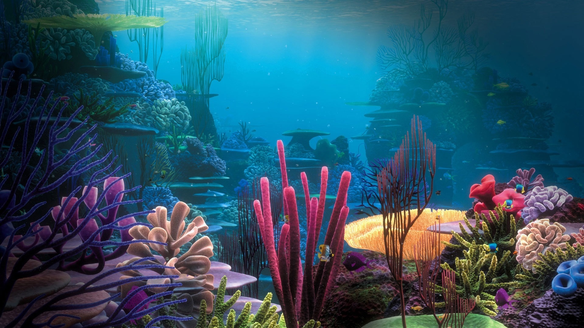 Underwater World Wallpaper HD Pictures One
