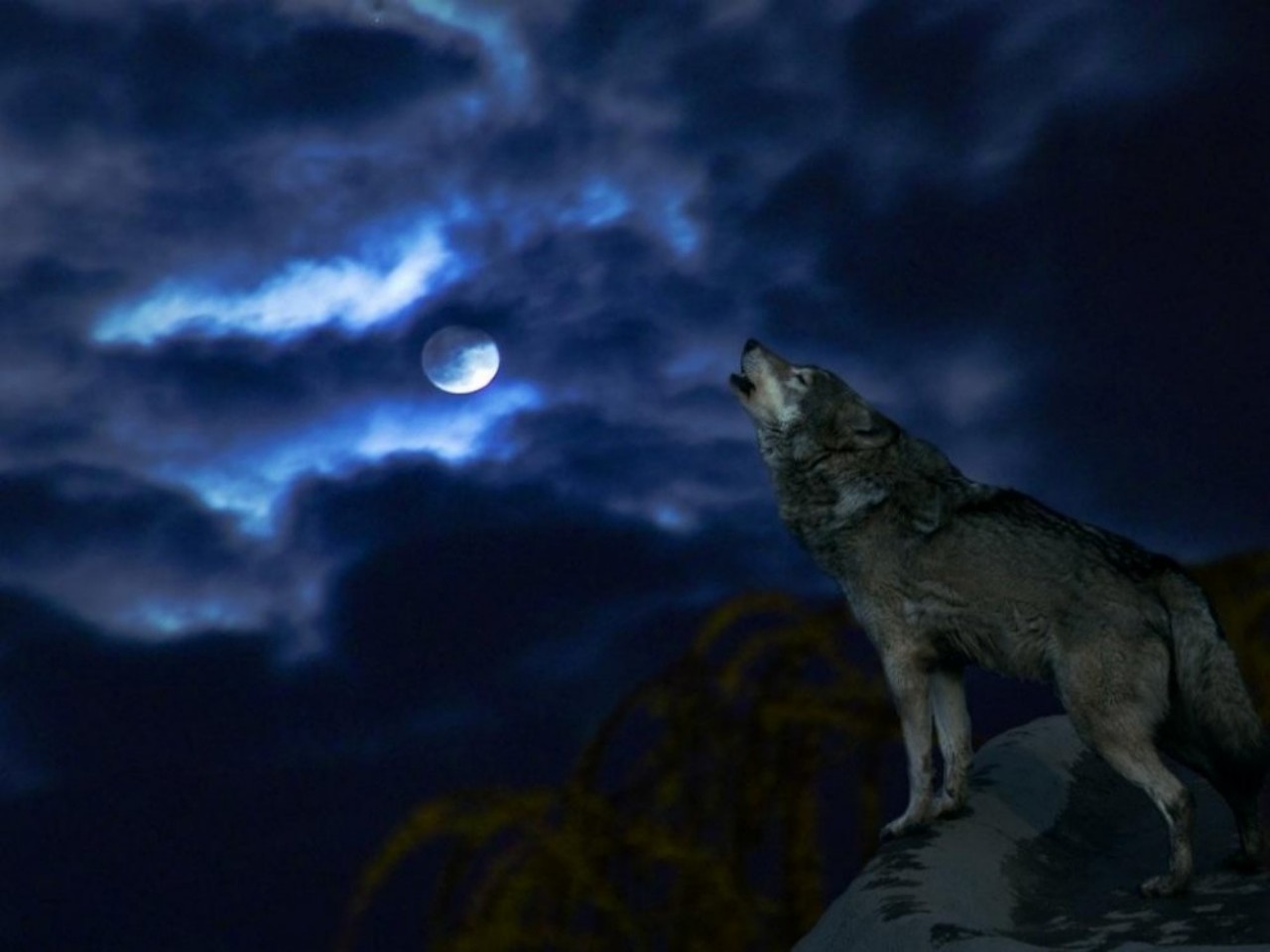 Blue Night Sky Wolf Moon Clouds Howling With Resolutions