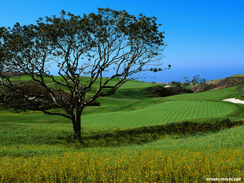 golf desktop wallpapers Artwallpaperscom 1024x768 1024x768