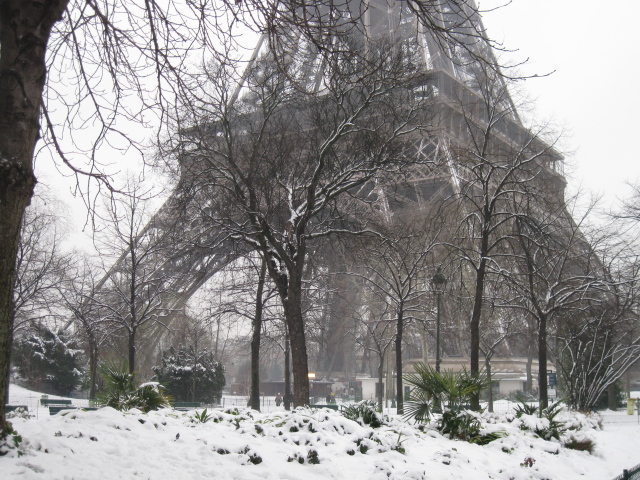 Snow In Paris Trees Around The Eiffel Tower Wallpaper And Image