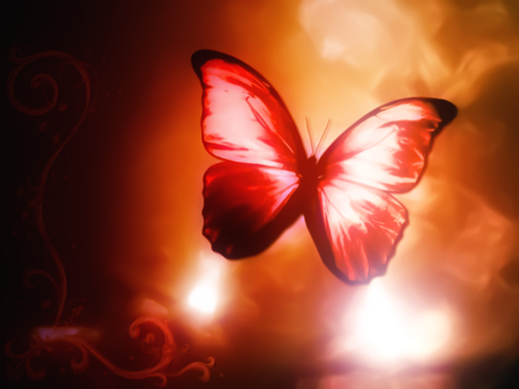 Red Butterfly Wallpaper HD In Cute Imageci