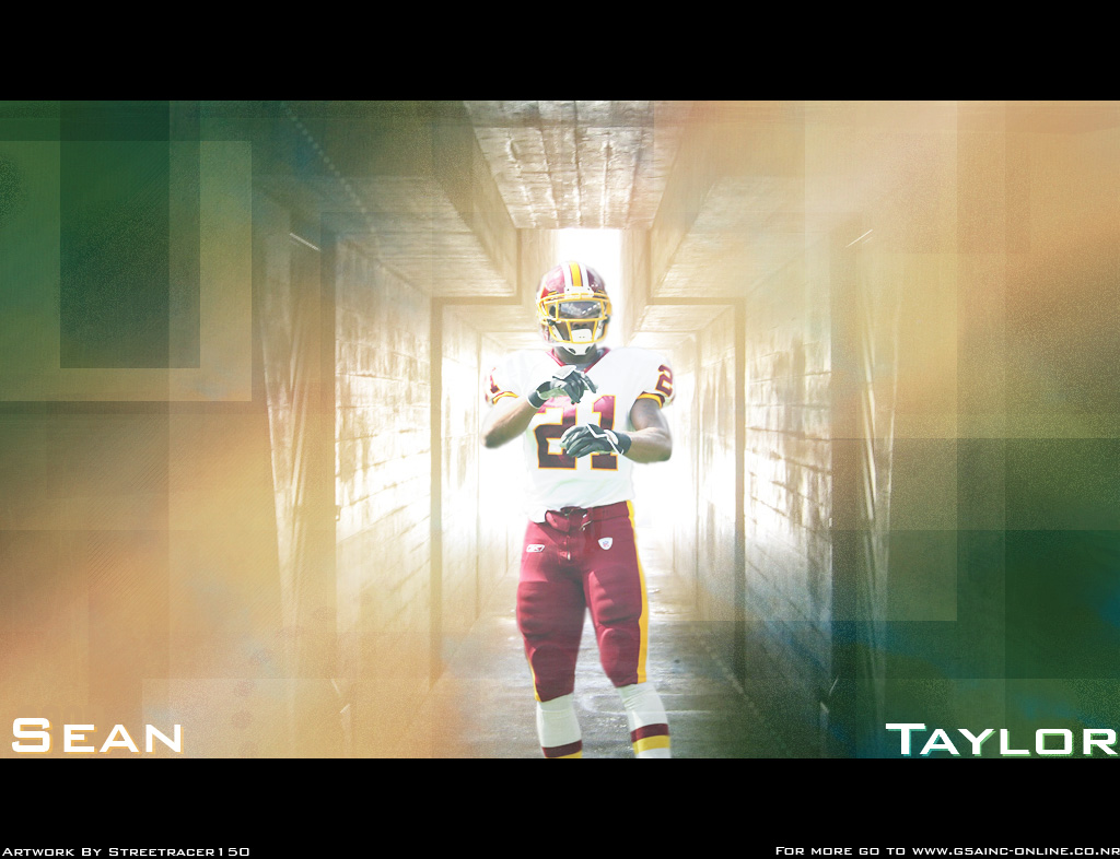 Sean Taylor Wall By Streetracer150