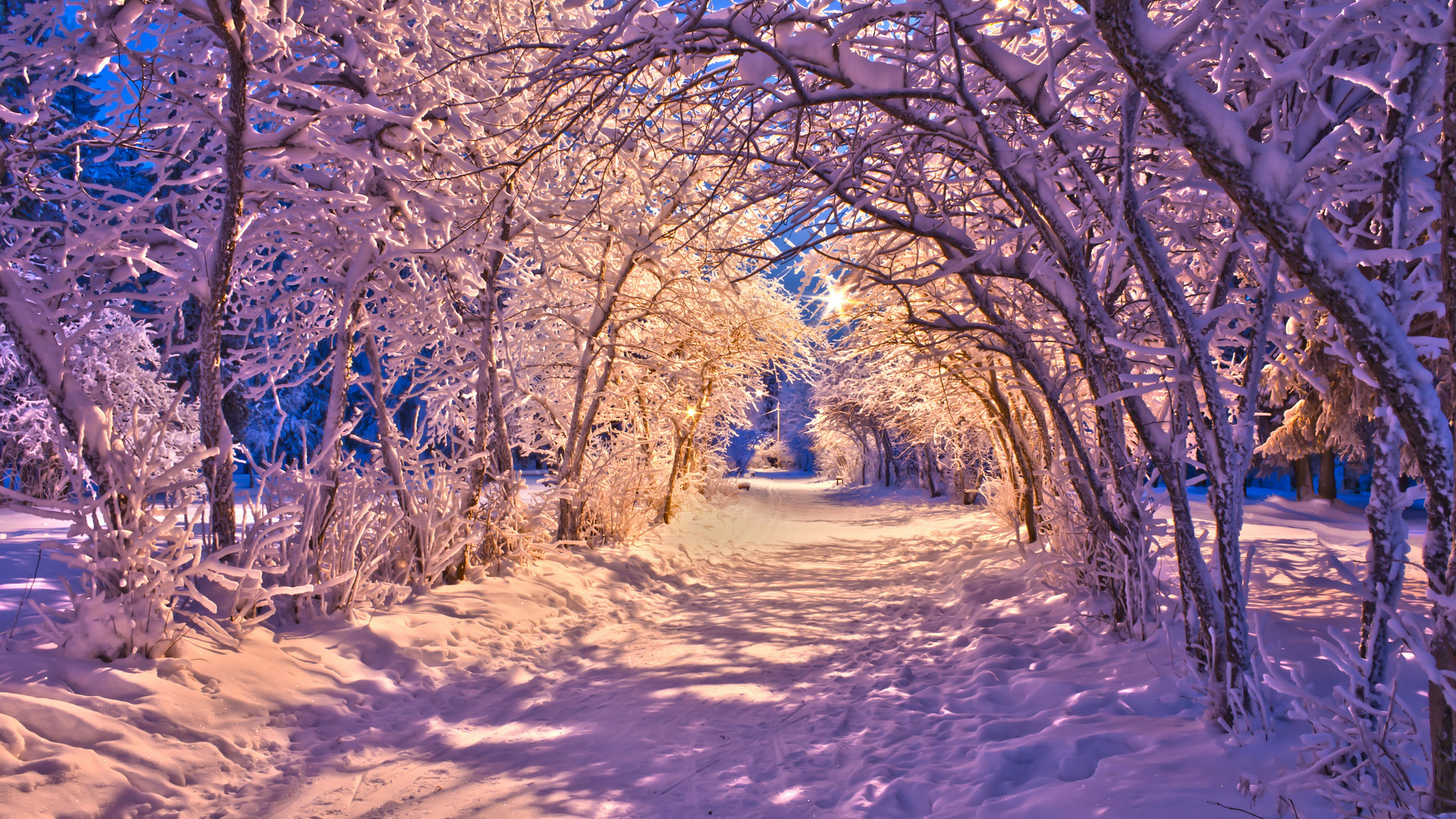 Winter Snow Christmas Sidewalk Roads Lights White Trees Wallpaper