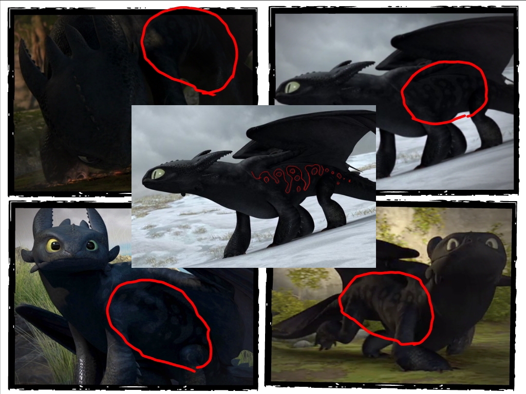 Toothless have markings by TheDeadlyDragon on