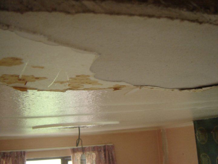 Free download Plastering and Wallpaper Stripping advice please Page 1