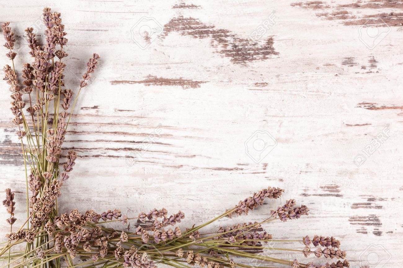 Lavender Background On White Wooden Antique Textured