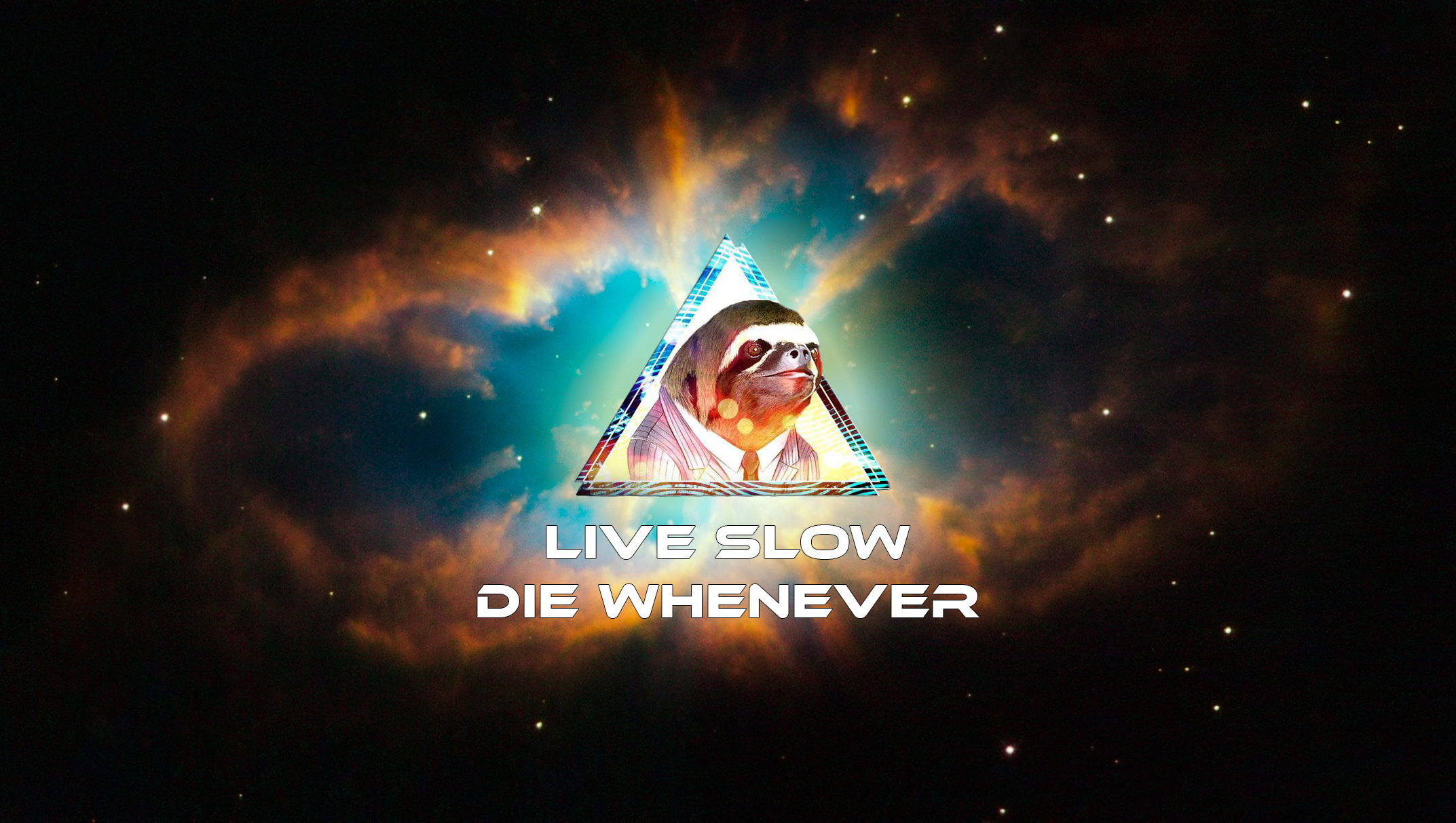 Live Slow Die Whenever Sloth Cluelessclue Jan