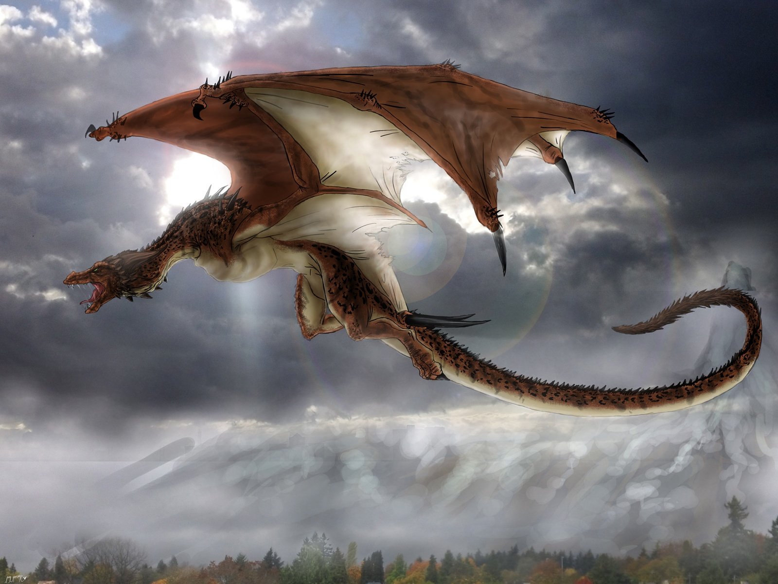Dragon   Mythical creatures Wallpaper 28605048 1600x1200