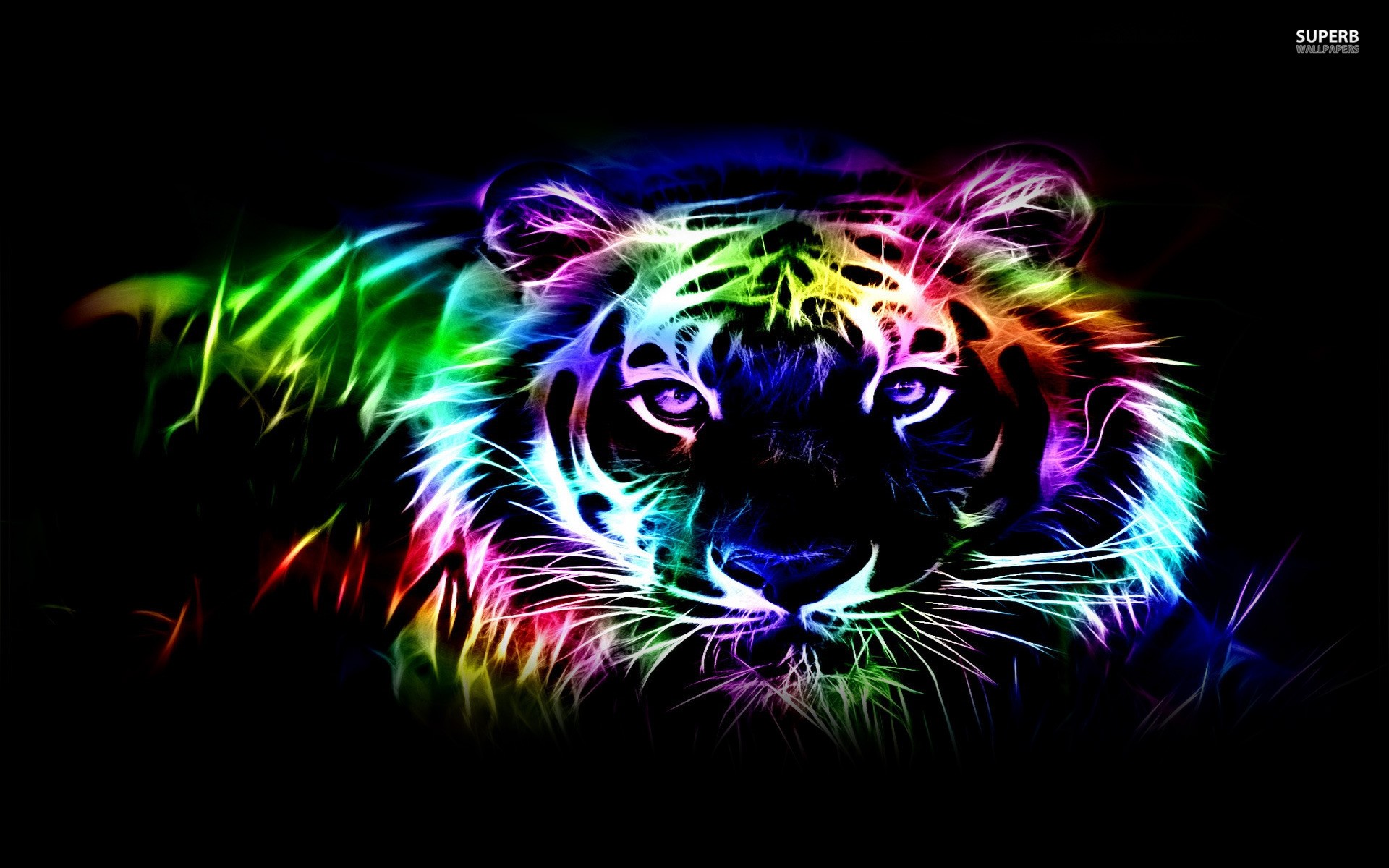 A vibrant neon tiger illustration with glowing multicolored outlines against a dark background