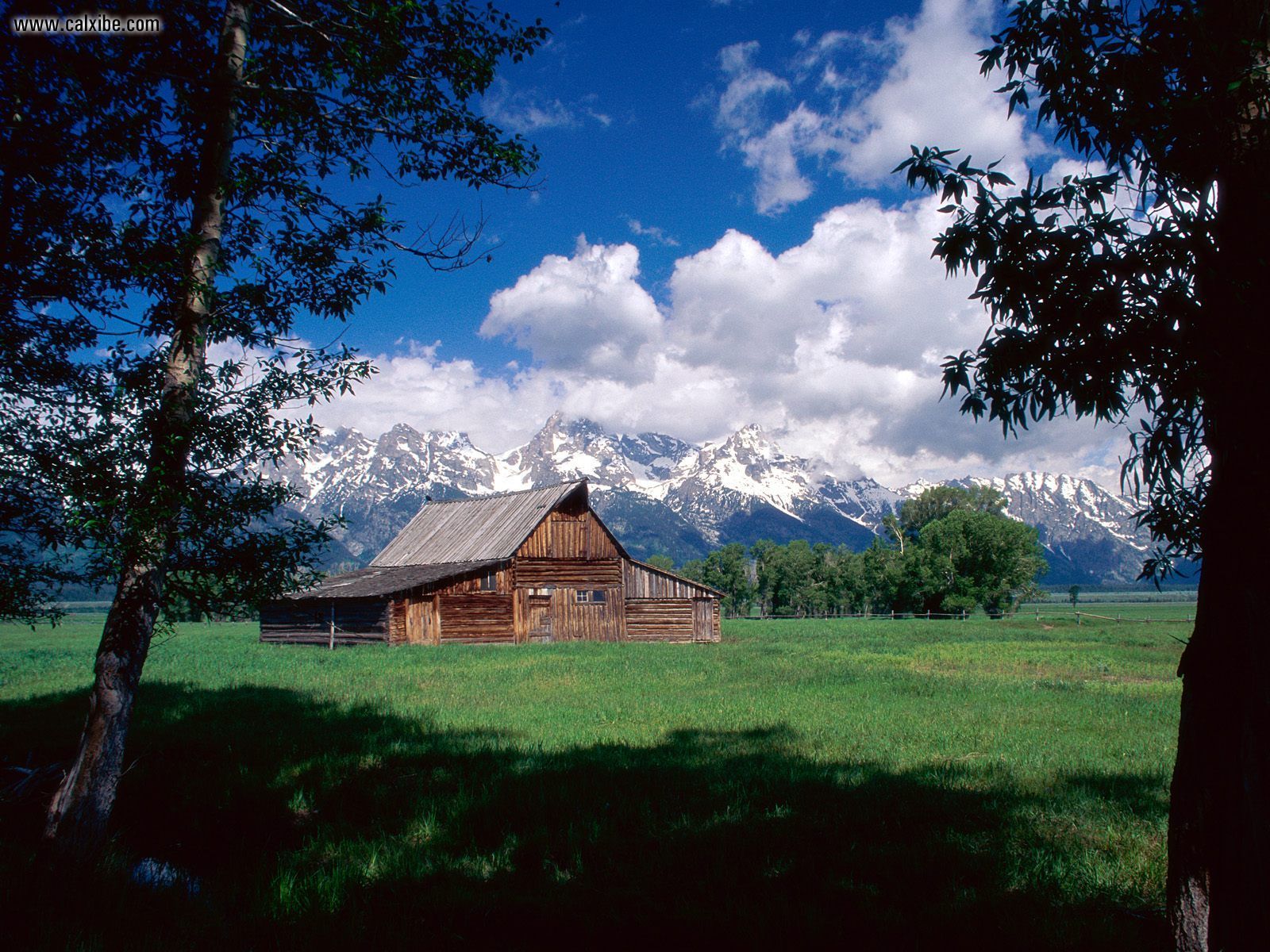 Moulton Ranch Grand Teton National Park Wyoming Picture Nr